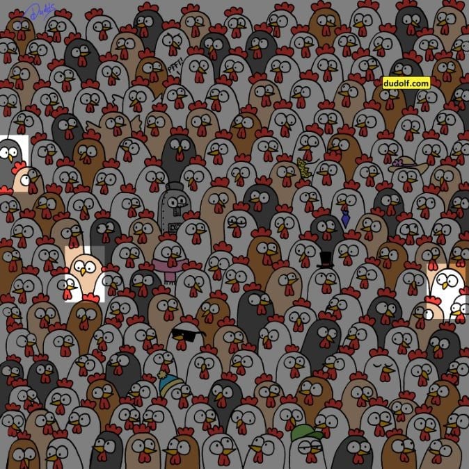 Kde jsou ukryty tři sovy: pouze 1 % lidí vyluští hádanku za 10 sekund.