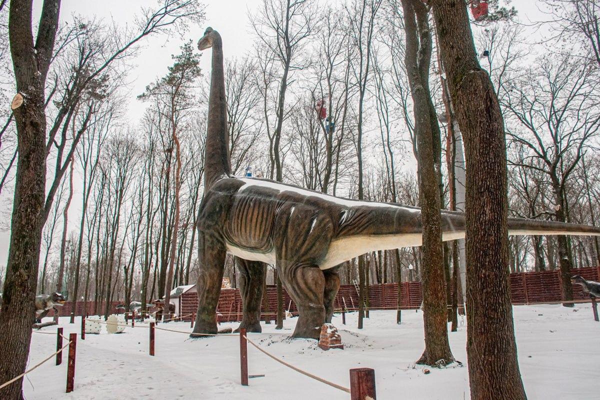 Najdi psa ve sněhu za 10 sekund / koláž Moje