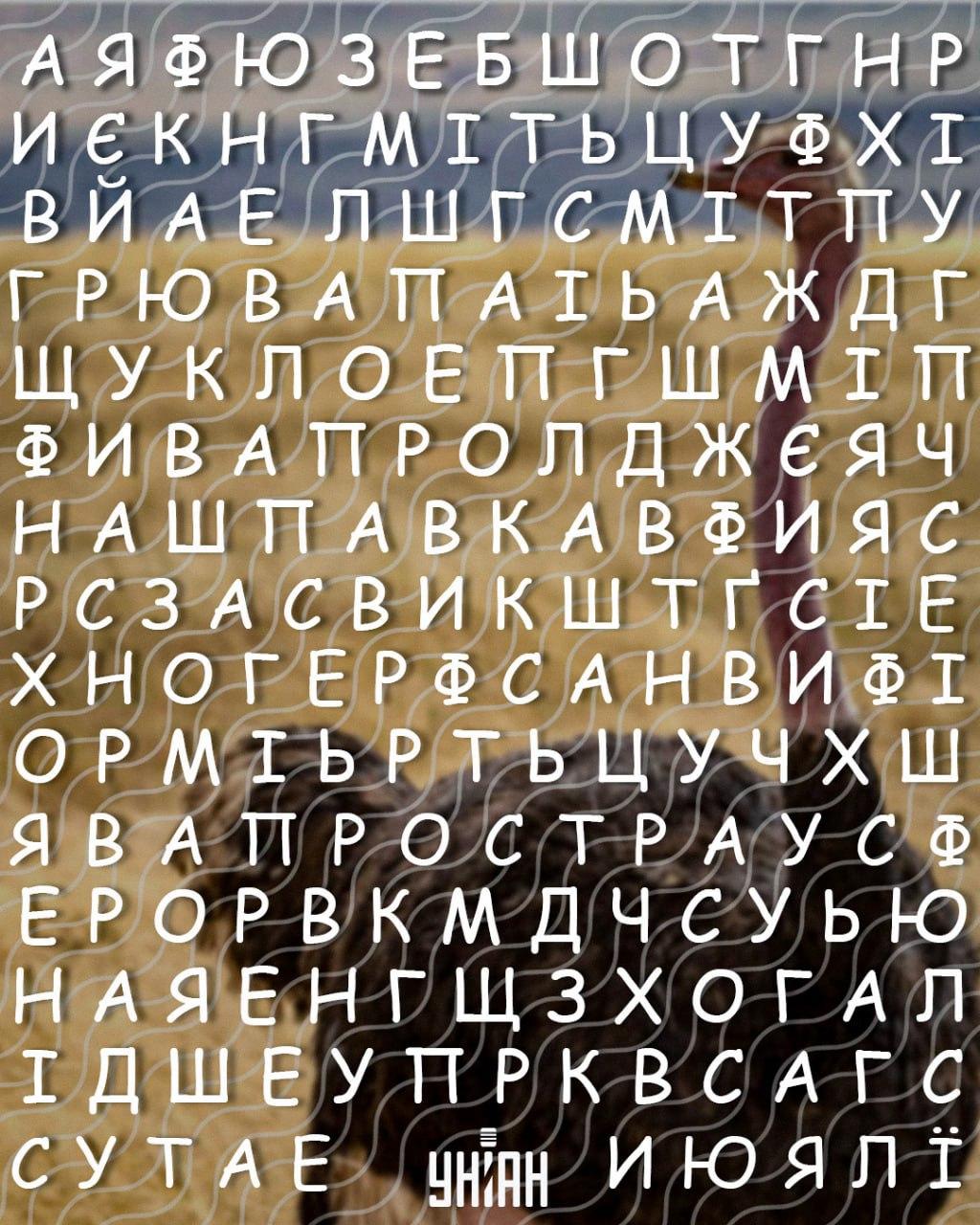 Pouze lidé s vysokým IQ dokáží najít slovo Jen lidé s vysokým IQ najdou slovo