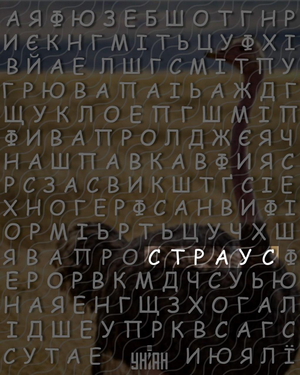 Pouze lidé s vysokým IQ dokáží najít slovo Pouze lidé s vysokým IQ dokáží najít slovo