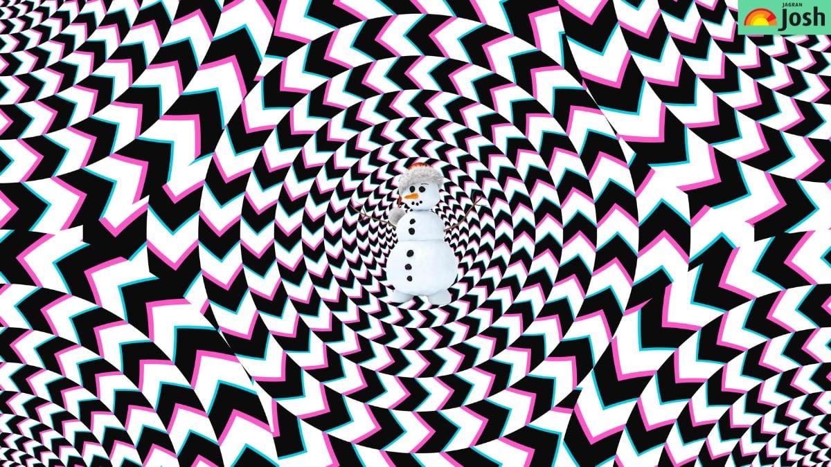 Hádanka pro bystrý zrak: musíte najít skrytý obrázek do 5 sekund.