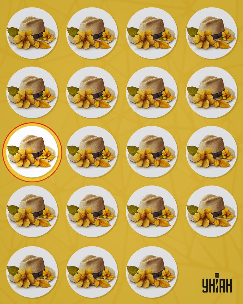 Divný klobouk se od ostatních lišil malým detailem / koláž Moje