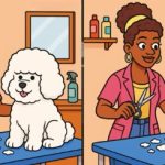 Kde jsou tři rozdíly mezi ženami s pejskem: nejtěžší hádanka, která otestuje vaši pozornost Kde jsou tři rozdíly mezi ženami s pejskem: nejtěžší hádanka,