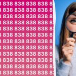 Máte vysoké IQ, pokud dokážete rychle najít číslo 888 mezi stovkami dalších. Máte vysoké IQ, pokud dokážete rychle najít číslo 888 mezi