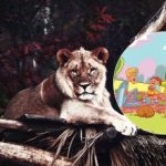 Tohle je úkol, který zvládne jen málokdo: musíte najít lva