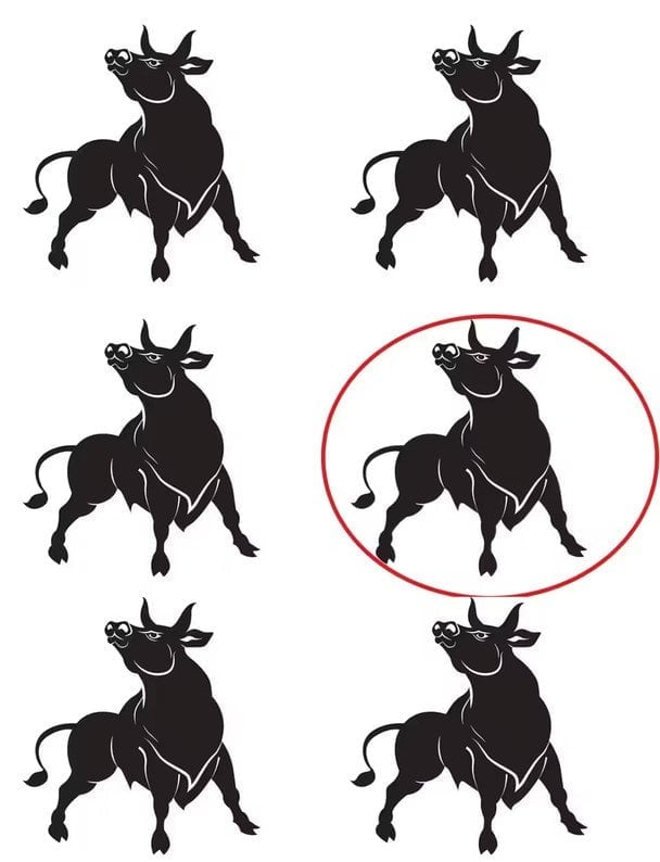 Zajímavá hádanka pozornosti - její řešení